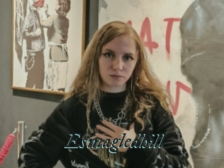 Esmagledhill