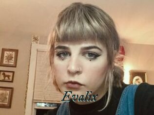 Evalix