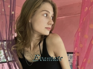 Evamate