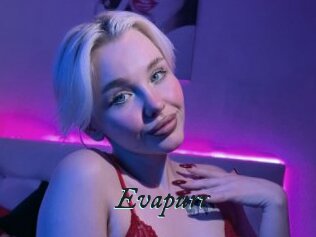 Evapurr