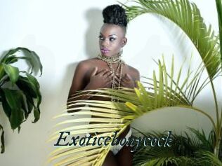 Exoticebonycock
