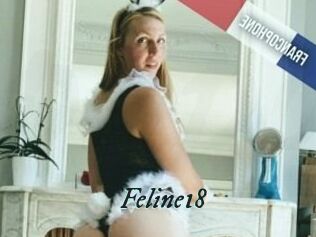 Feline18