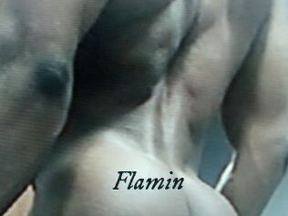 Flamin