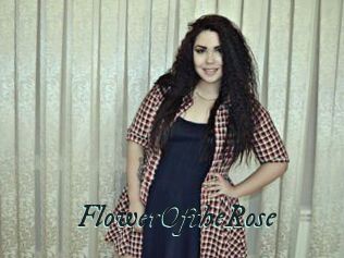 FlowerOftheRose