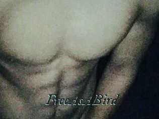 FreeAsABird