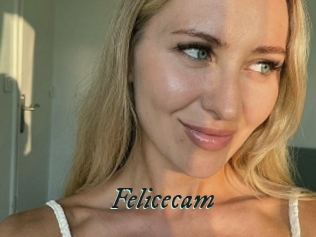 Felicecam