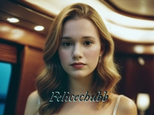 Felicechubb