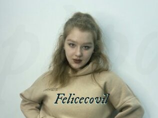 Felicecovil