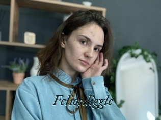 Felicediggle