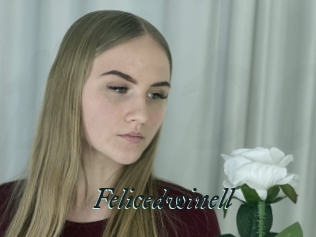 Felicedwinell