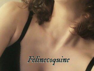 Felinecoquine