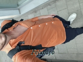 Felix050