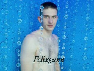Felixgunn