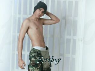 Ferrboy