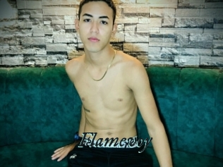 Flamevoy