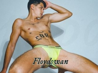 Floydswan