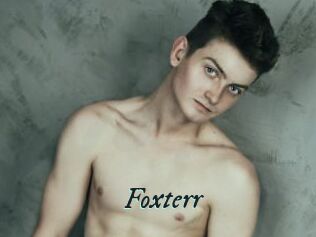 Foxterr