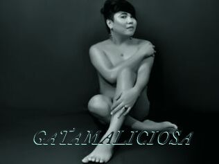GATAMALICIOSA