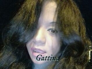 Gattina