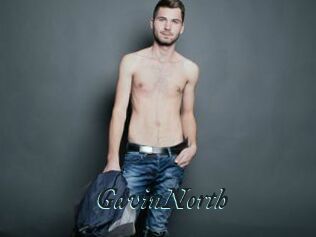 GavinNorth