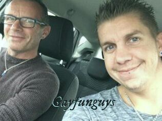 Gayfunguys