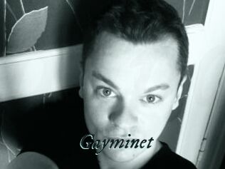 Gayminet