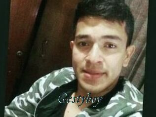 Gestyboy