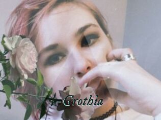 Grothia