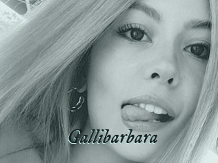 Gallibarbara