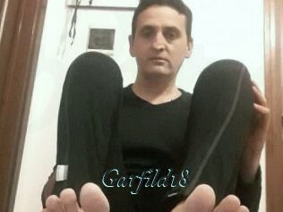 Garfild18