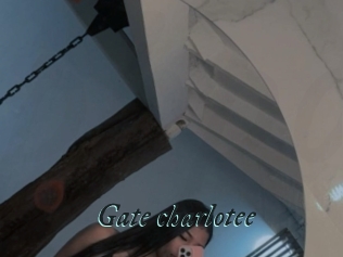 Gate_charlotee