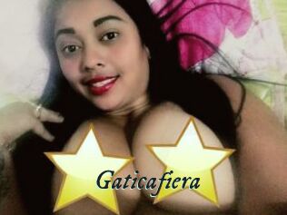 Gaticafiera