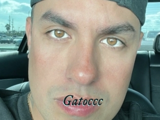 Gatoccc