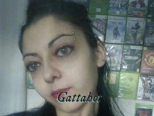 Gattahot