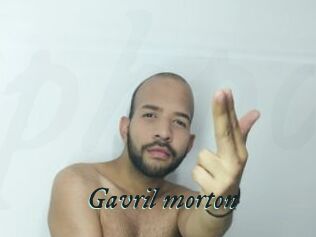 Gavril_morton
