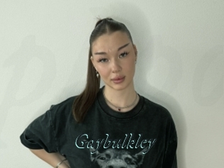 Gaybulkley