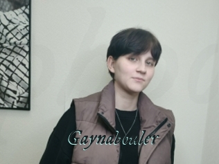 Gaynabouler