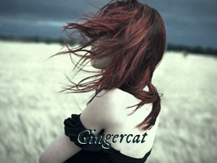 Gingercat