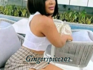 Gingerspice202