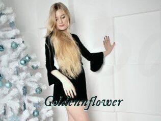 Goldennflower