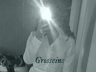 Grosseins