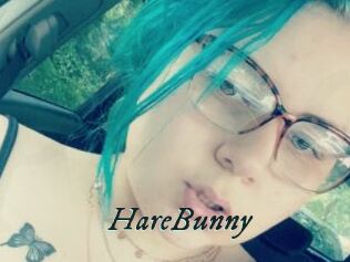 HareBunny
