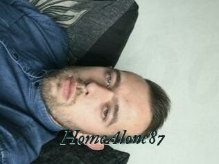 HomeAlone87