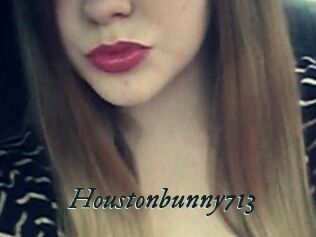 Houstonbunny713