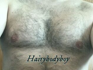 Hairybodyboy