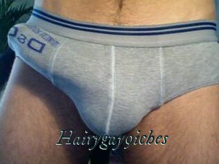 Hairygay9iches