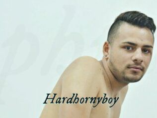 Hardhornyboy