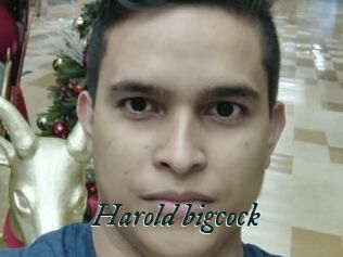 Harold_bigcock