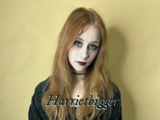 Harrietbigger