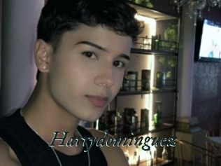 Harrydominguez